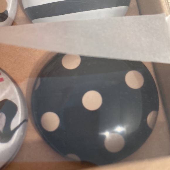 Papyrus glass dome 6 magnets fashion be beautiful New - Picture 7 of 15